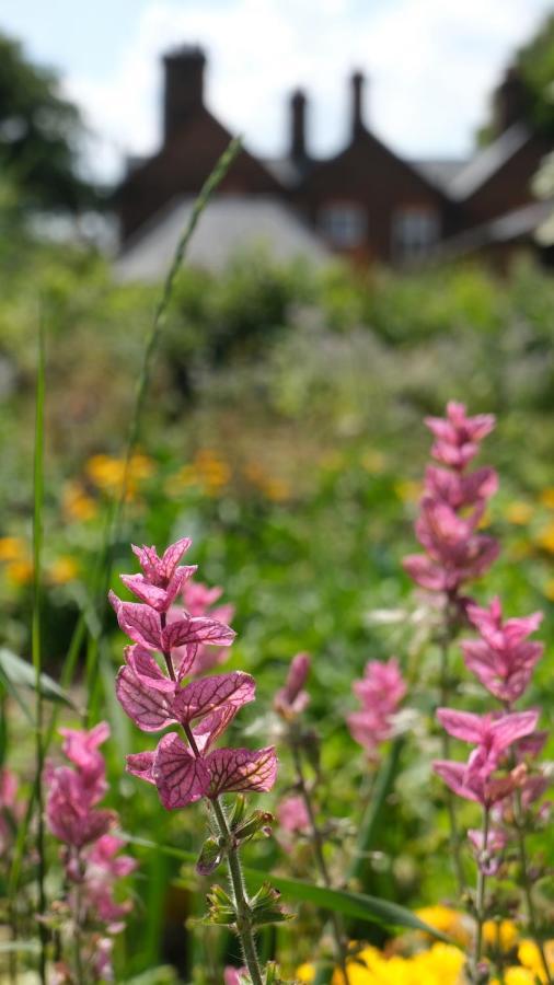 Beech Hill B&B Weaverham ภายนอก รูปภาพ